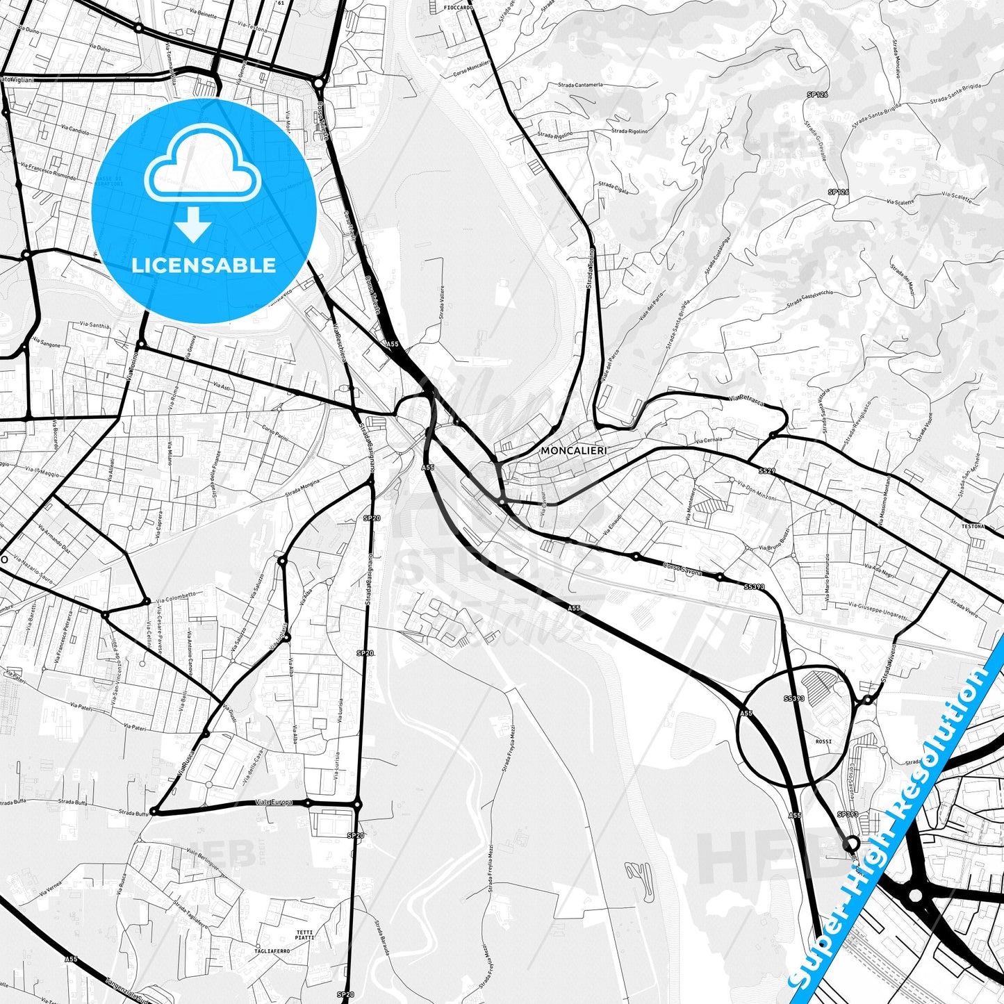 Moncalieri, Italy Light Map with Street Names, City Names, and Districts