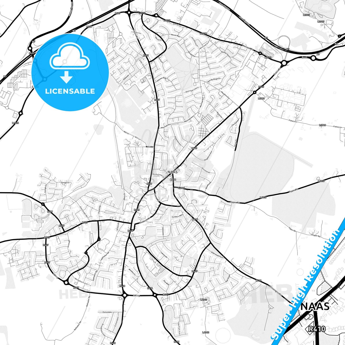 Naas, Ireland Light Map with Street Names, City Names, and Districts