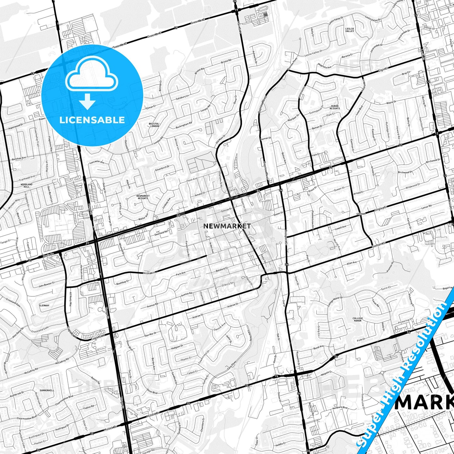 Newmarket, Canada Light Map with Street Names, City Names, and Districts