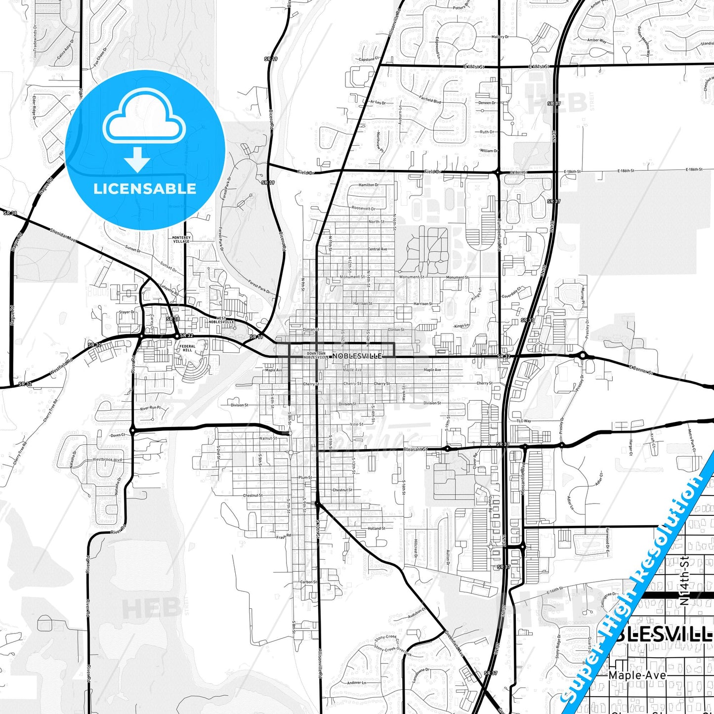 Noblesville, Indiana Light Map with Street Names, City Names, and Districts