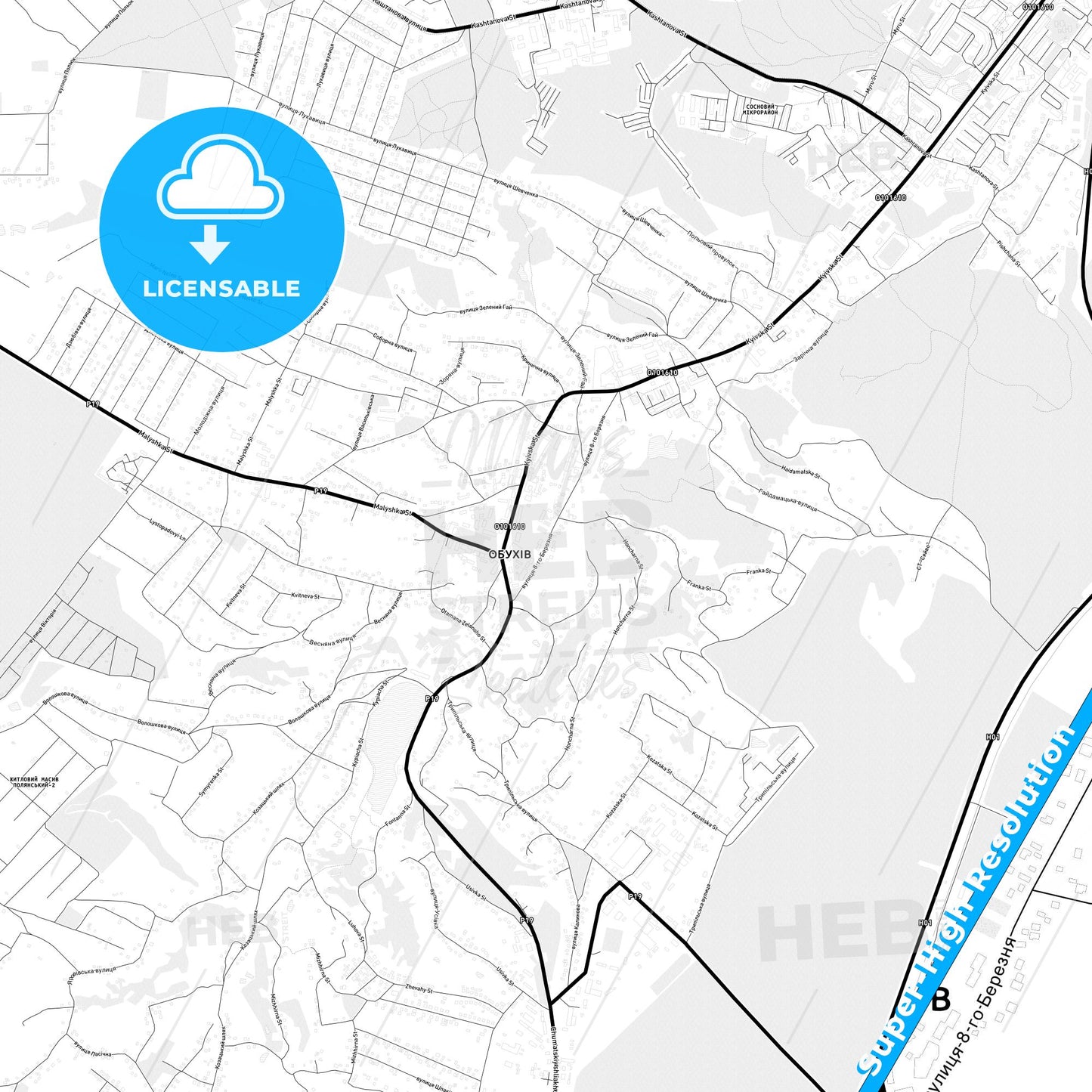 Obukhiv, Ukraine Light Map with Street Names, City Names, and Districts
