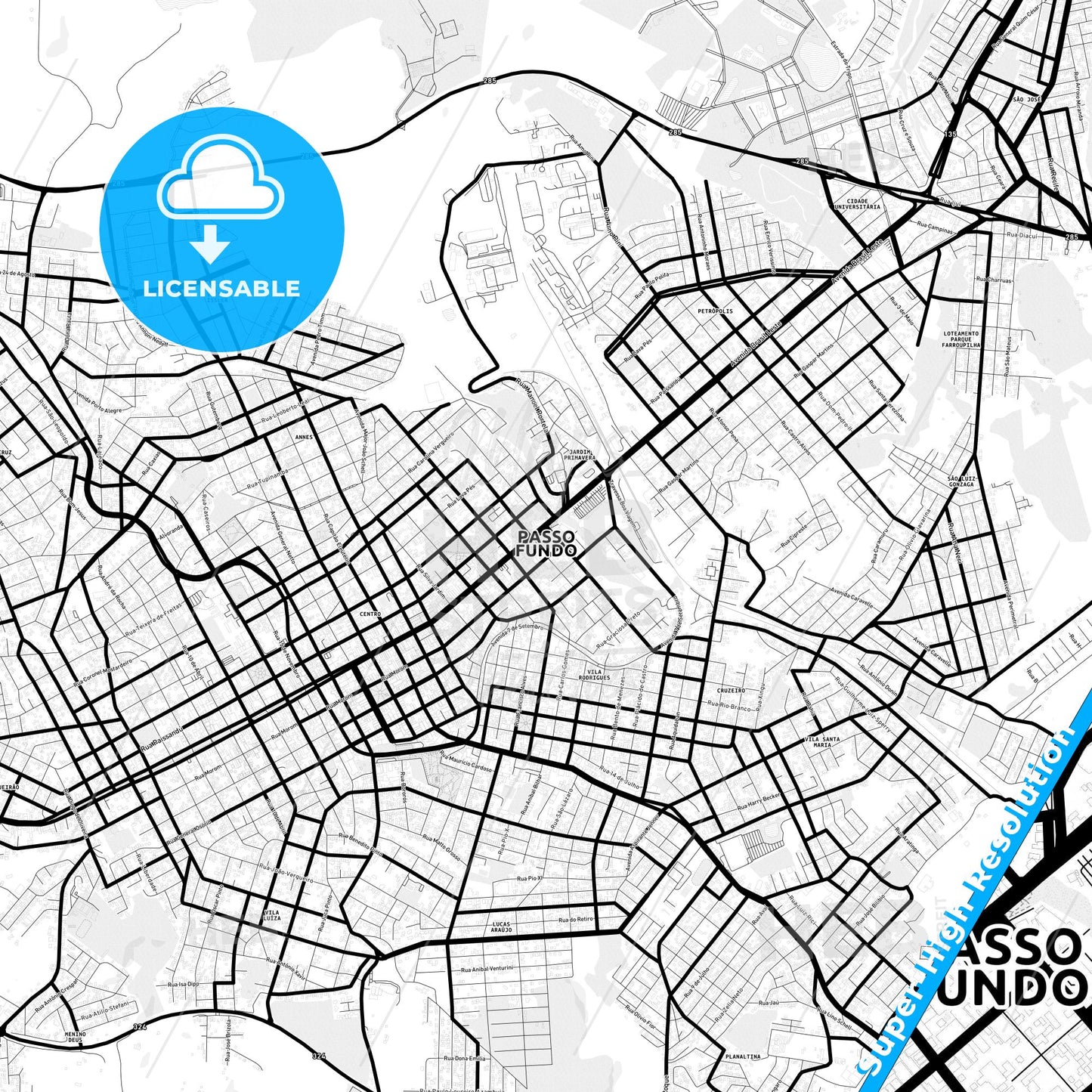 Passo Fundo, Brazil Light Map with Street Names, City Names, and Districts