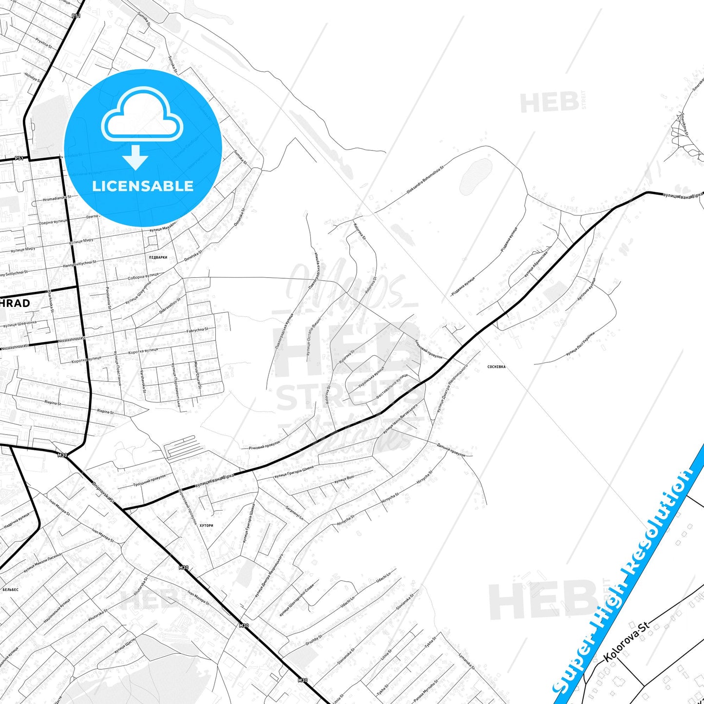 Pavlohrad, Ukraine Light Map with Street Names, City Names, and Districts