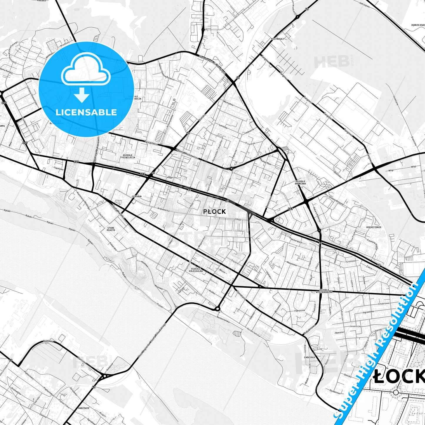 Płock, Poland Light Map with Street Names, City Names, and Districts