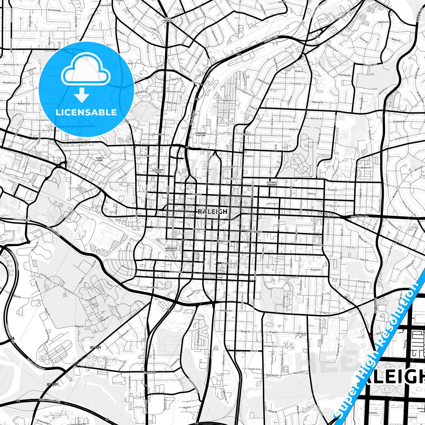 Raleigh, North Carolina Light Map with Street Names, City Names, and Districts