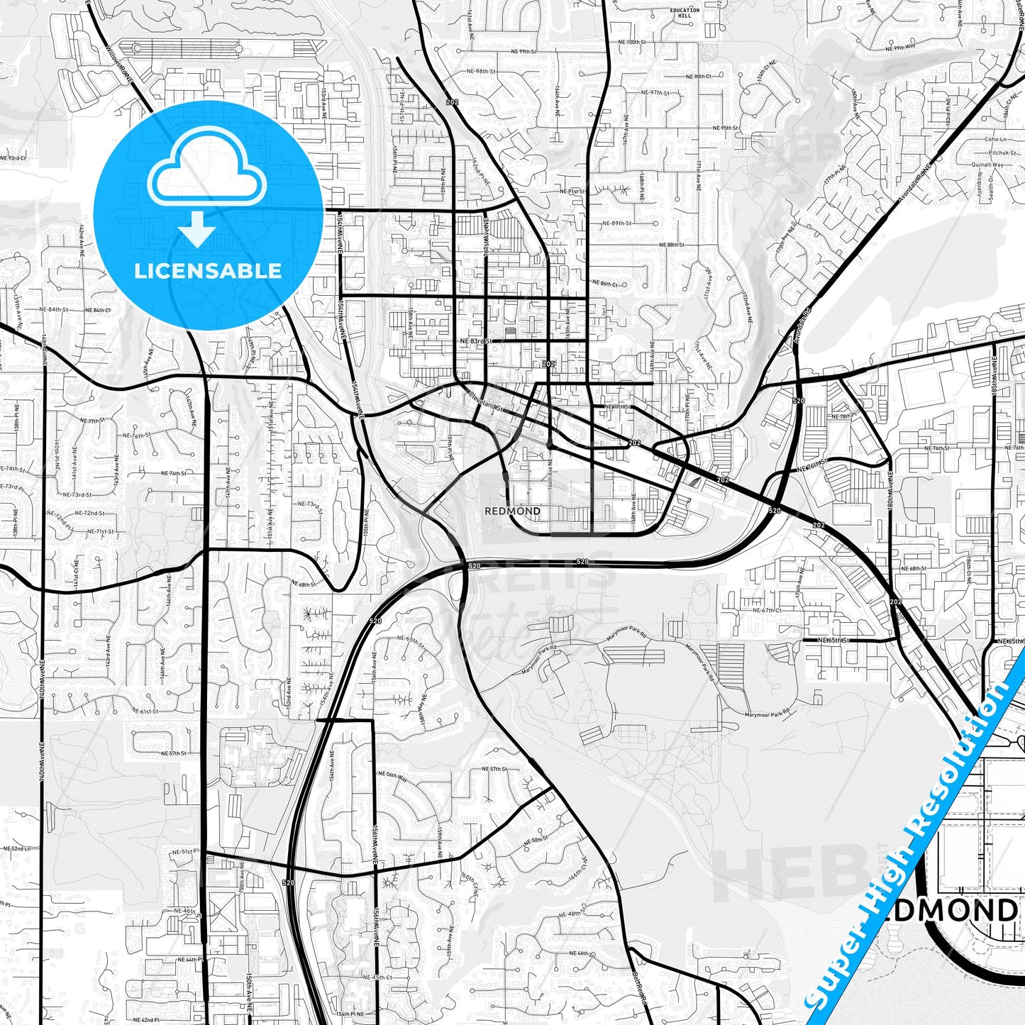 Redmond, Washington Light Map with Street Names, City Names, and Districts