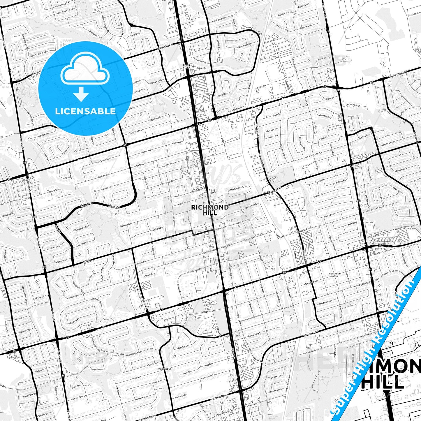 Richmond Hill, Canada Light Map with Street Names, City Names, and Districts