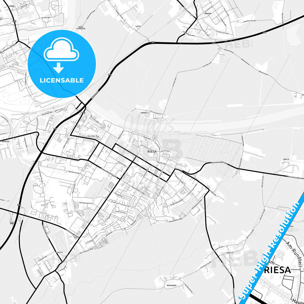Riesa, Germany Light Map with Street Names, City Names, and Districts