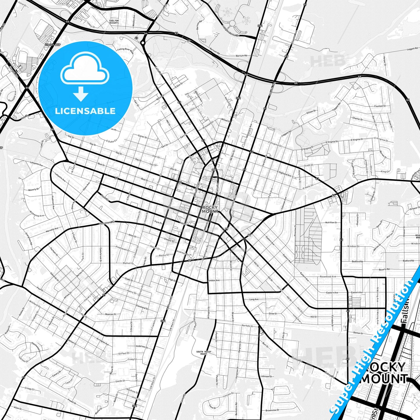 Rocky Mount, North Carolina Light Map with Street Names, City Names, and Districts