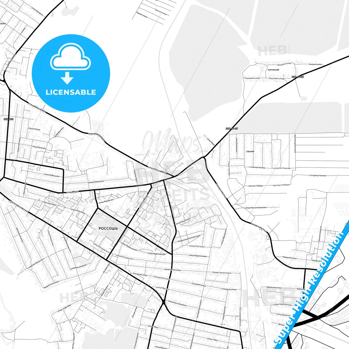 Rossosh, Russia Light Map with Street Names, City Names, and Districts