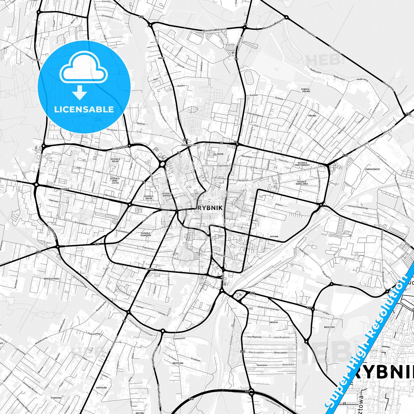 Rybnik, Poland Light Map with Street Names, City Names, and Districts