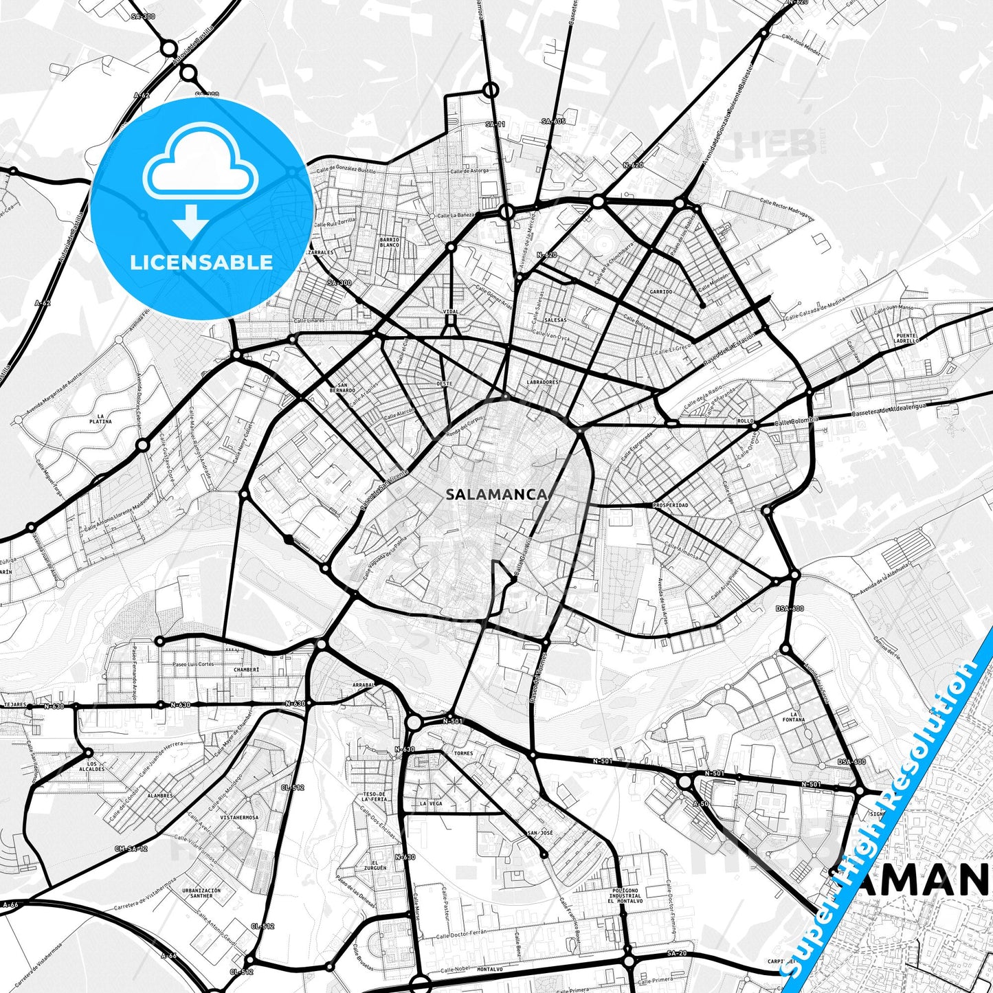 Salamanca, Spain Light Map with Street Names, City Names, and Districts