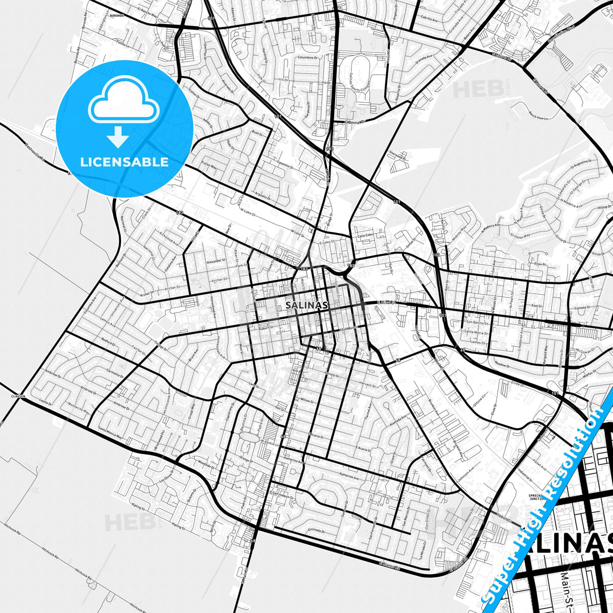 Salinas, California Light Map with Street Names, City Names, and Districts