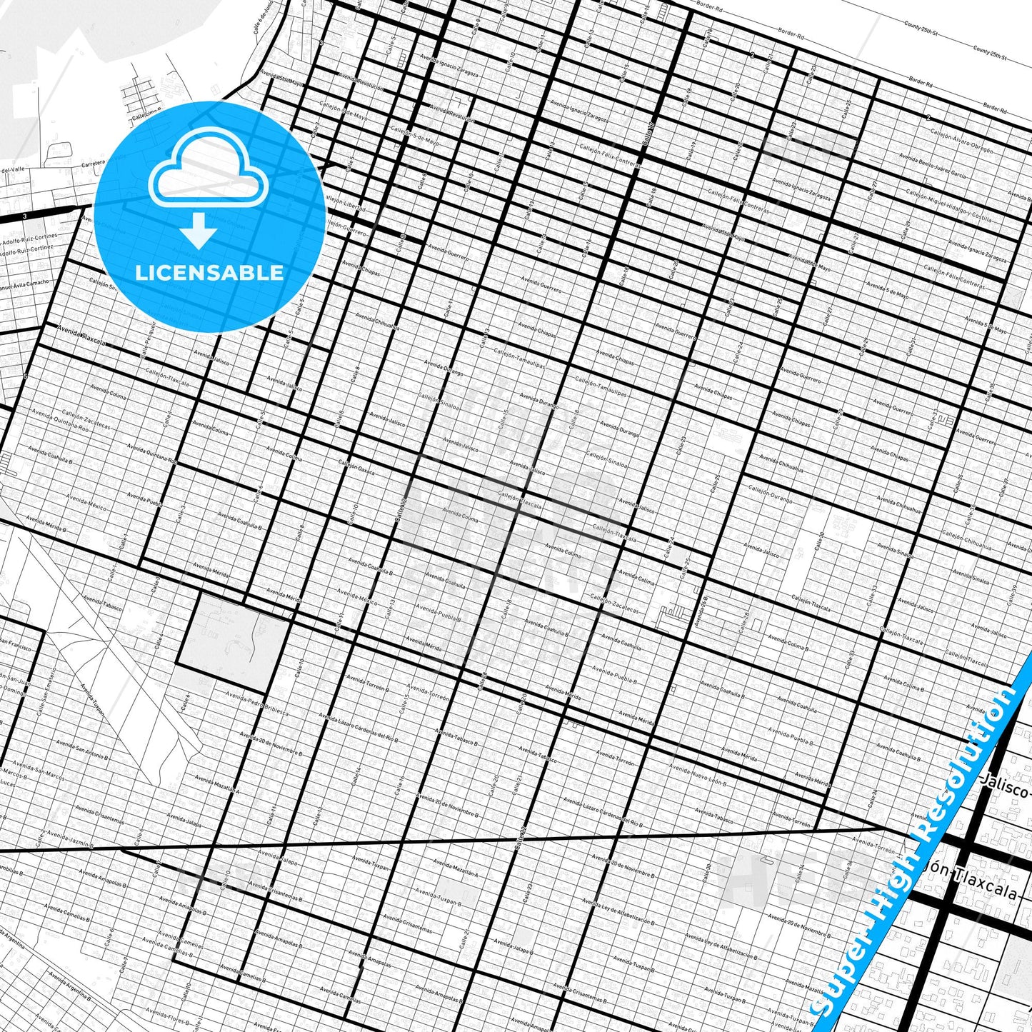 San Luis Río Colorado, Mexico Light Map with Street Names, City Names, and Districts
