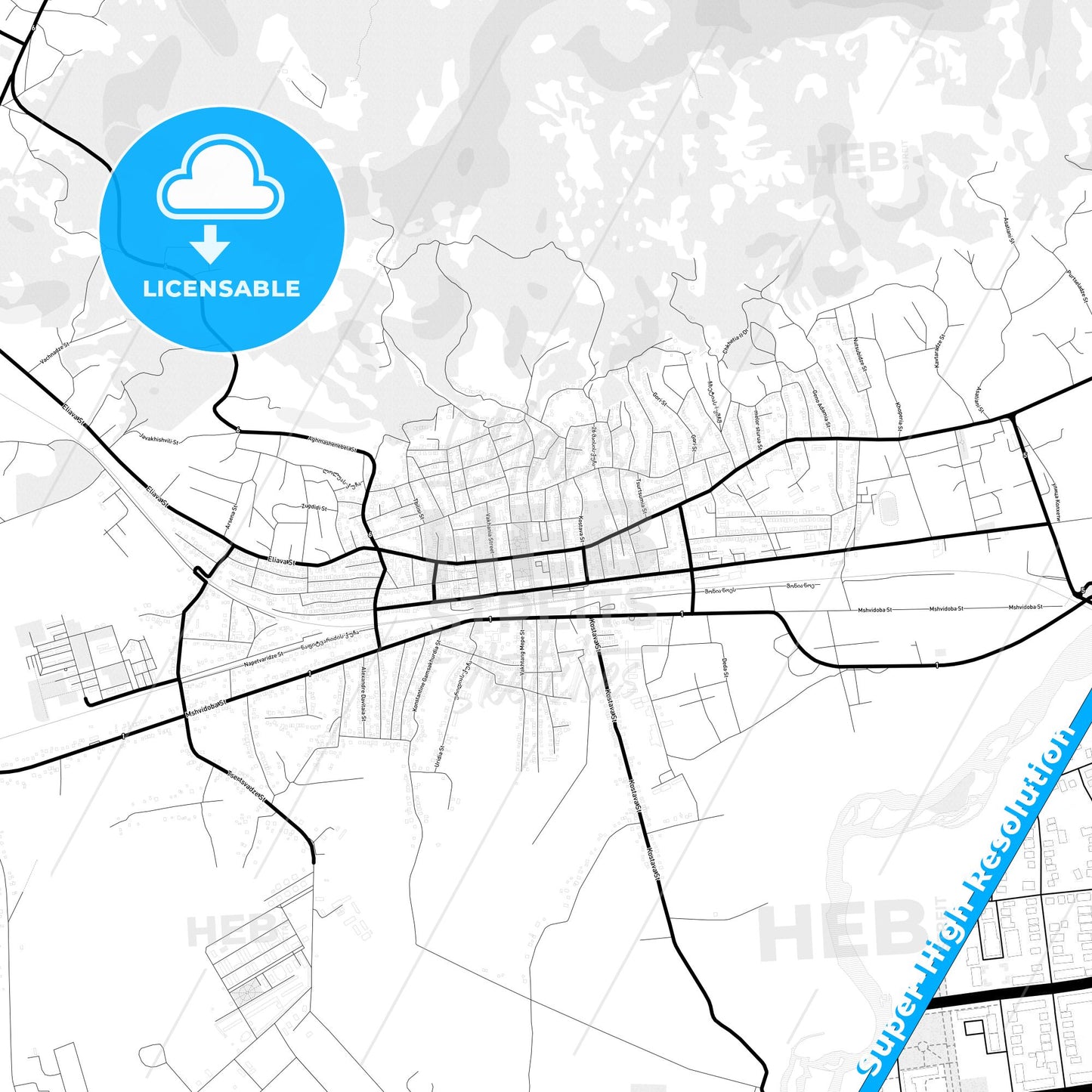 Senaki, Georgia Light Map with Street Names, City Names, and Districts