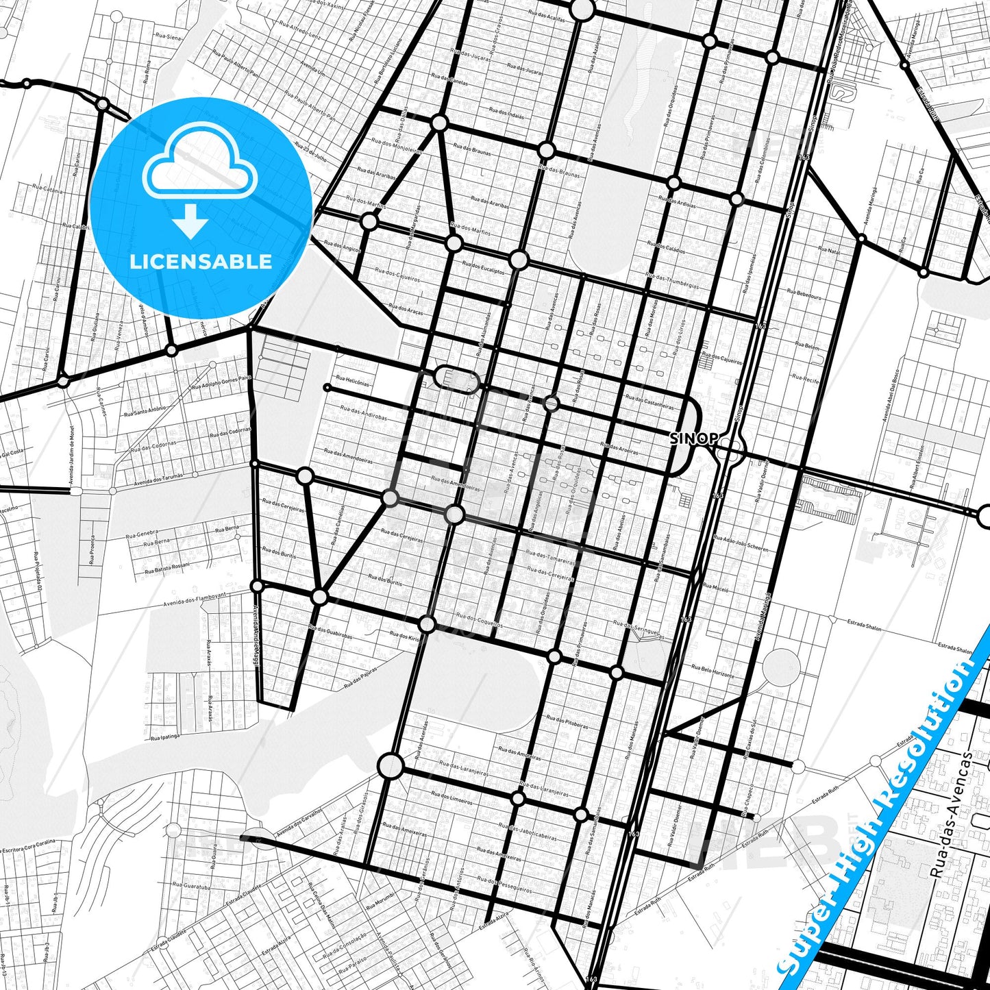 Sinop, Brazil Light Map with Street Names, City Names, and Districts