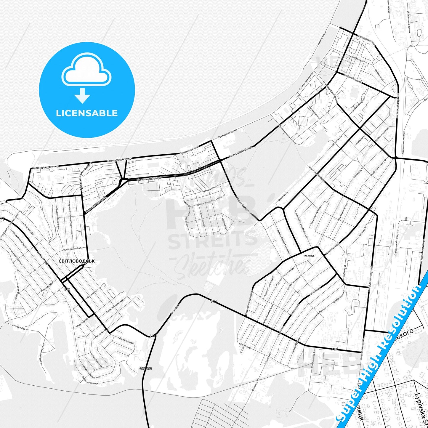 Svitlovodsk, Ukraine Light Map with Street Names, City Names, and Districts
