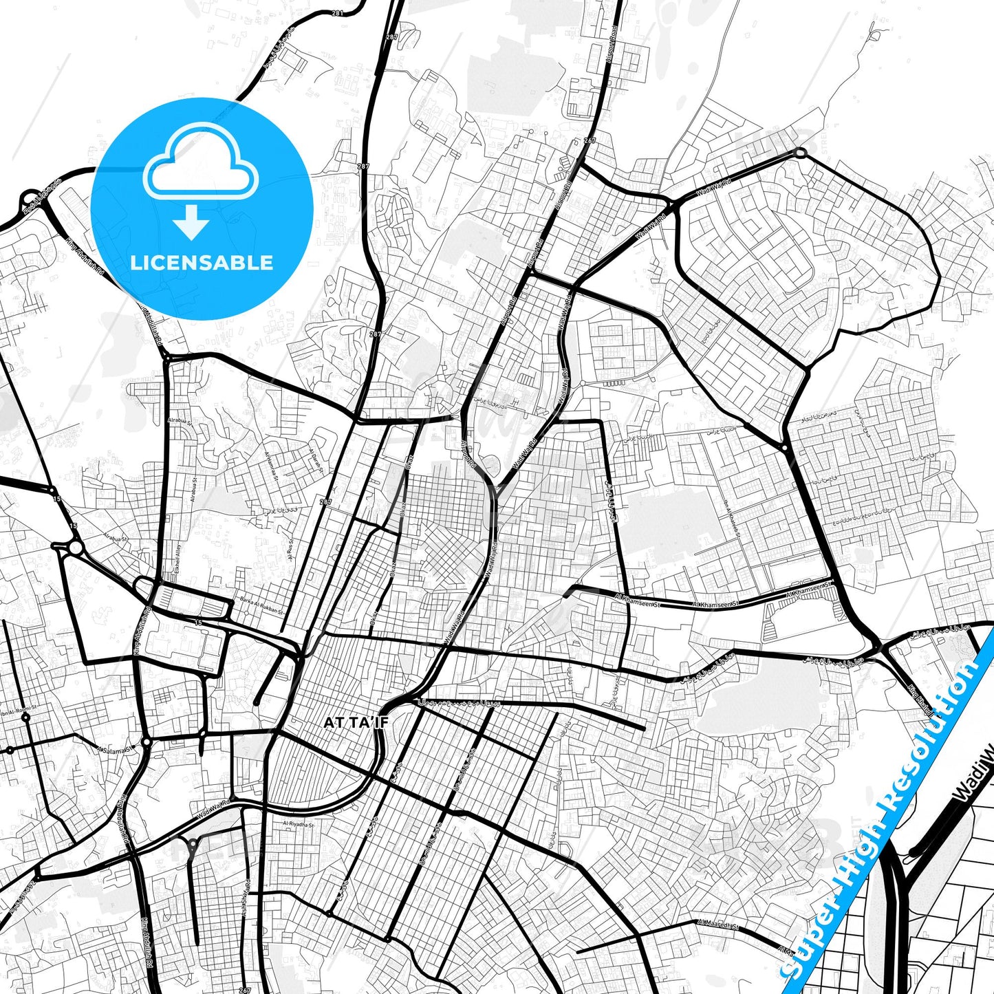 Taif, Saudi Arabia Light Map with Street Names, City Names, and Districts