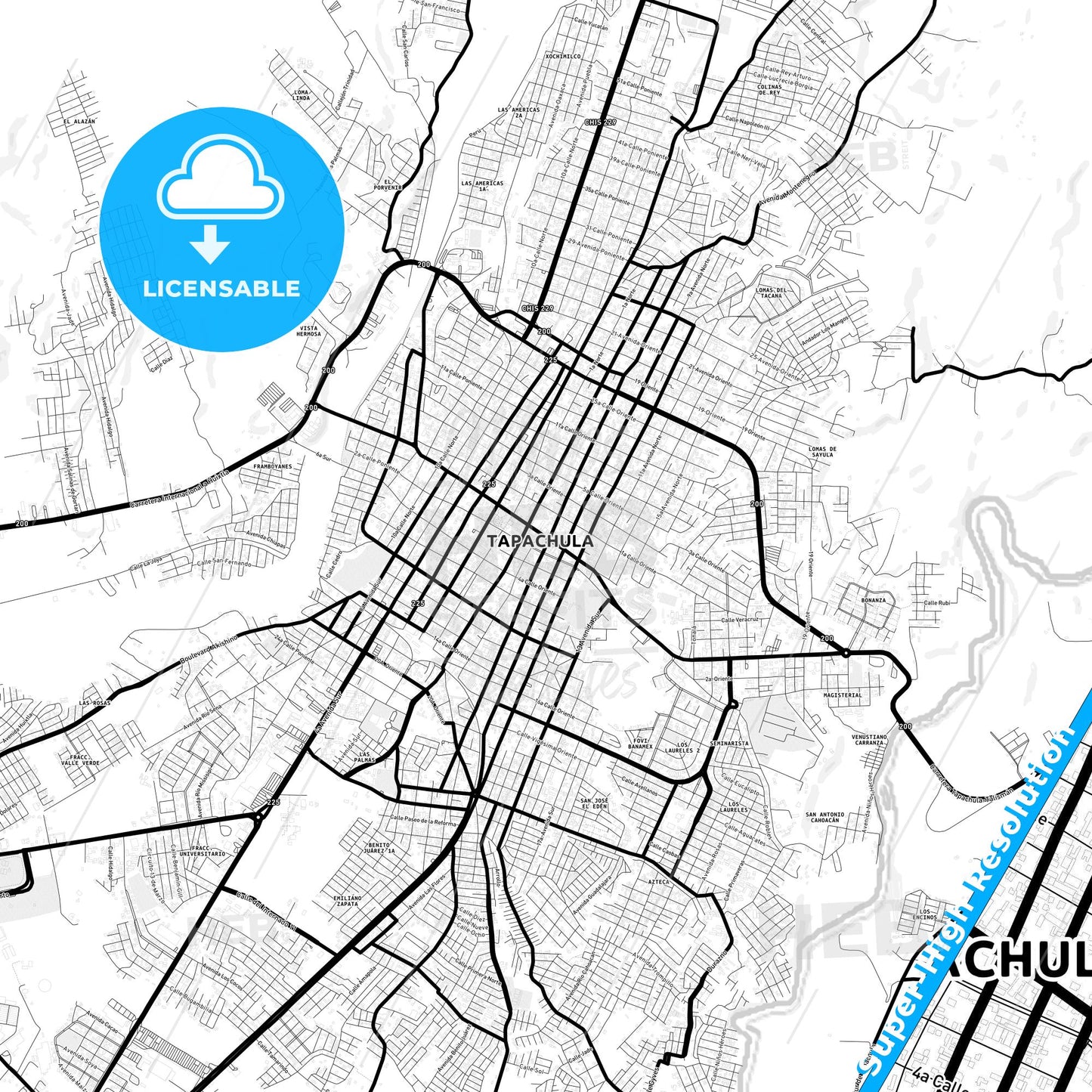 Tapachula, Mexico Light Map with Street Names, City Names, and Districts