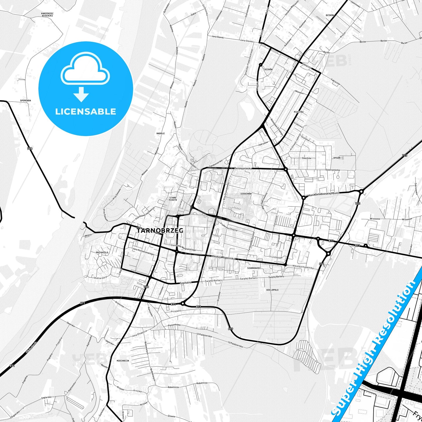 Tarnobrzeg, Poland Light Map with Street Names, City Names, and Districts