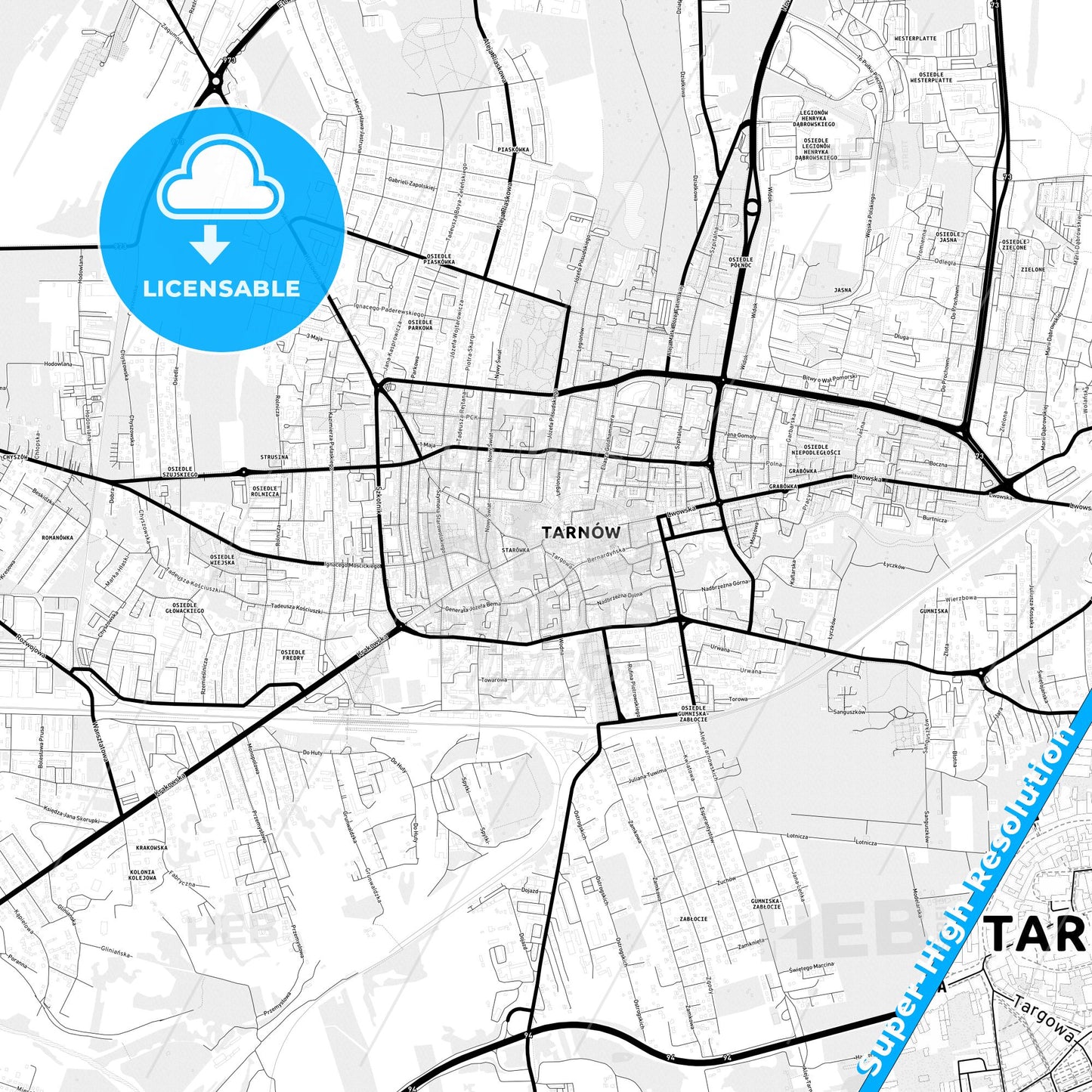 Tarnów, Poland Light Map with Street Names, City Names, and Districts