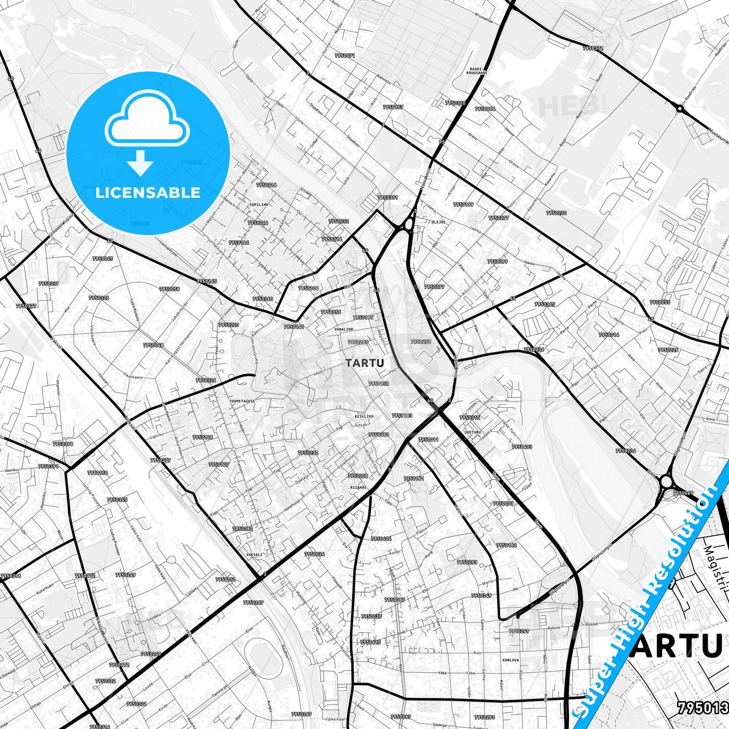 Tartu, Estonia Light Map with Street Names, City Names, and Districts