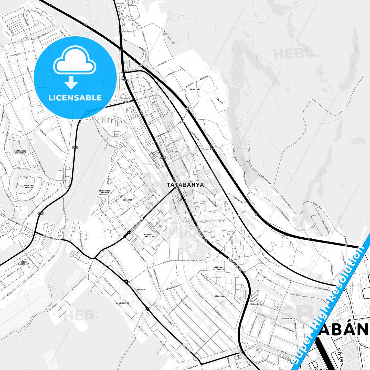 Tatabánya, Hungary Light Map with Street Names, City Names, and Districts