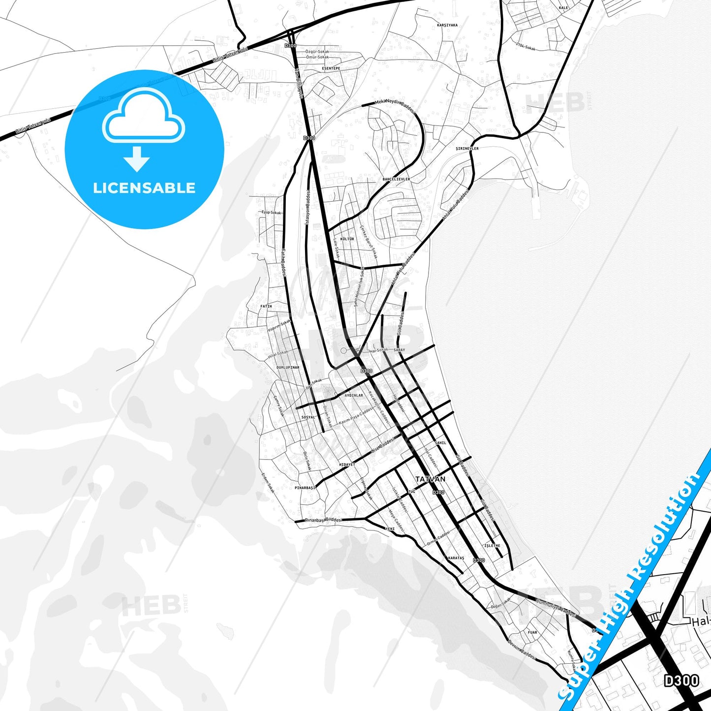 Tatvan, Turkey Light Map with Street Names, City Names, and Districts