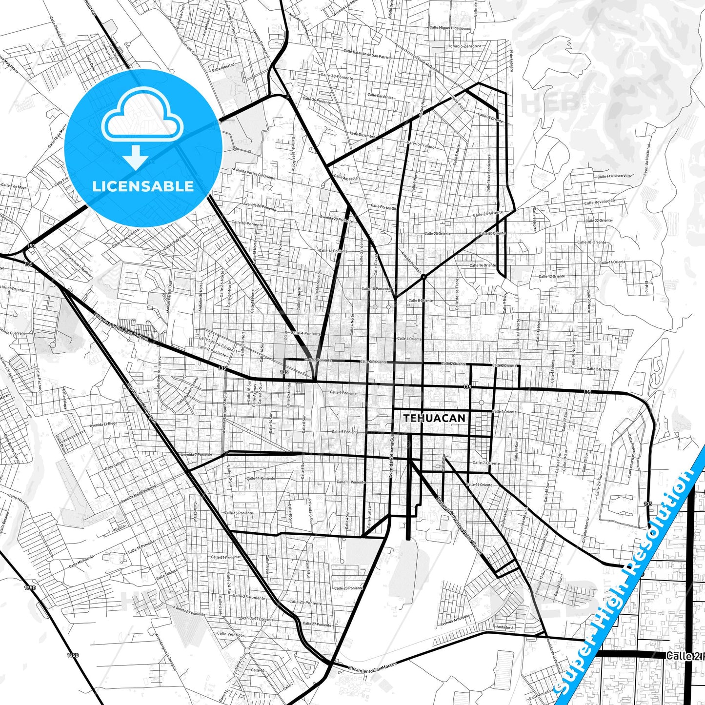 Tehuacán, Mexico Light Map with Street Names, City Names, and Districts