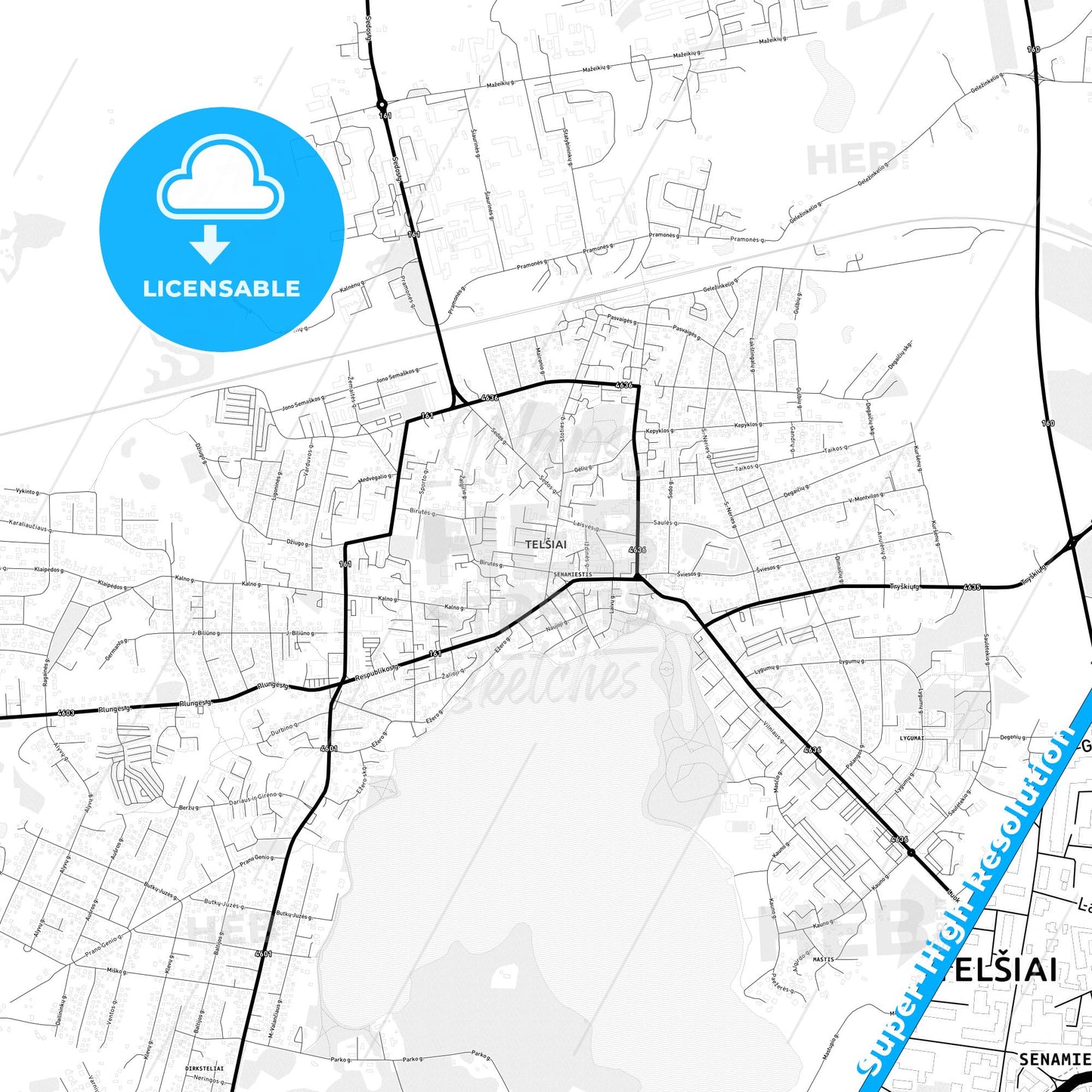 Telšiai, Lithuania Light Map with Street Names, City Names, and Districts