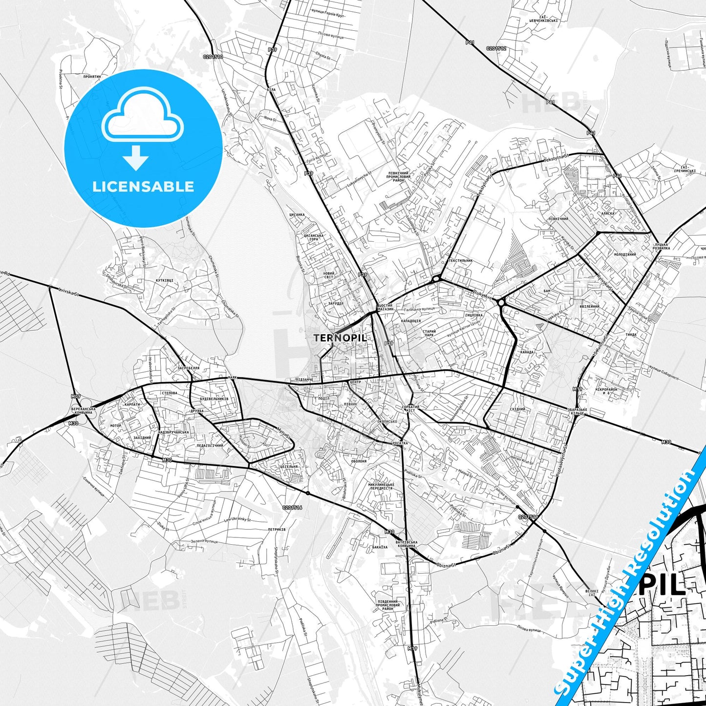 Ternopil, Ukraine Light Map with Street Names, City Names, and Districts