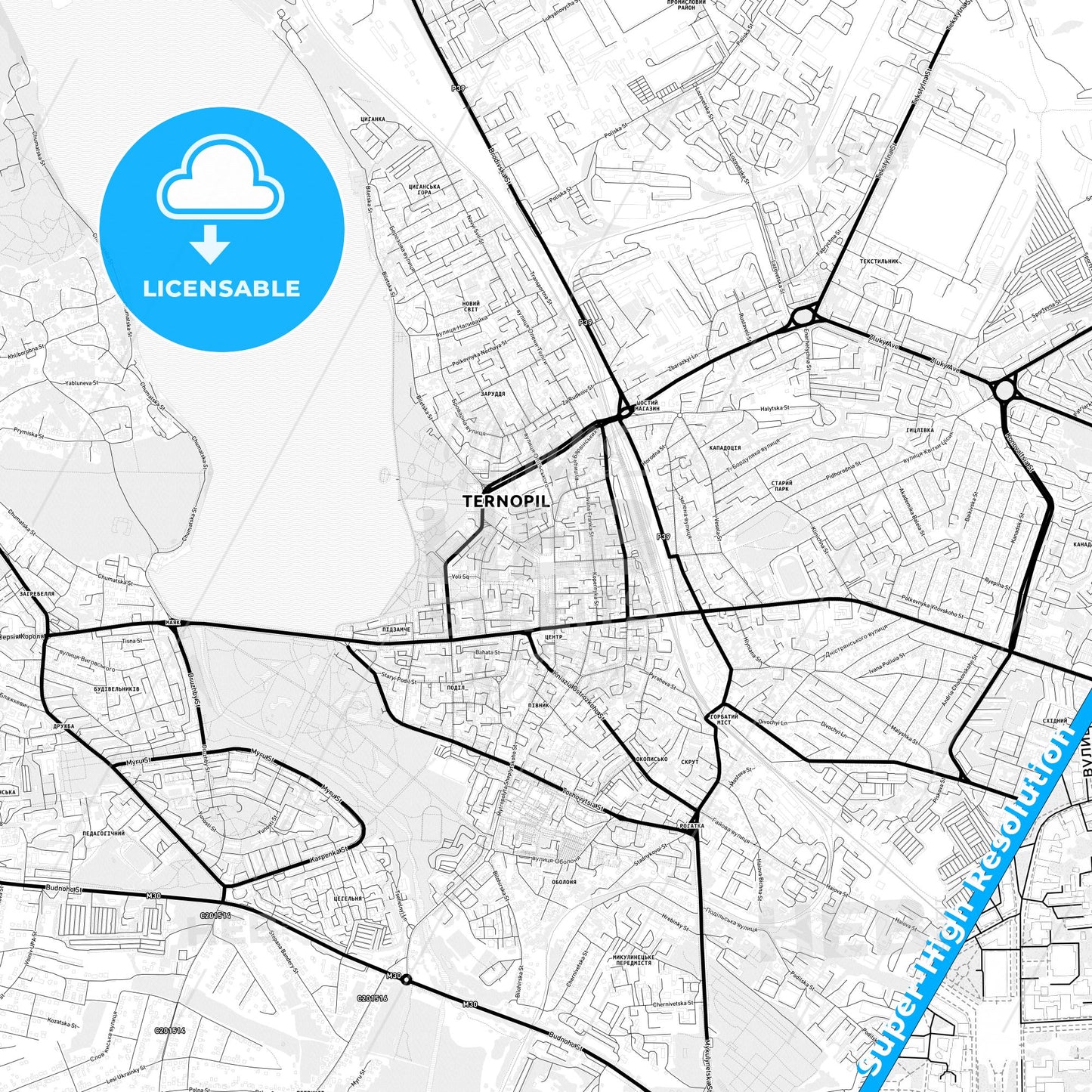 Ternopil, Ukraine Light Map with Street Names, City Names, and Districts