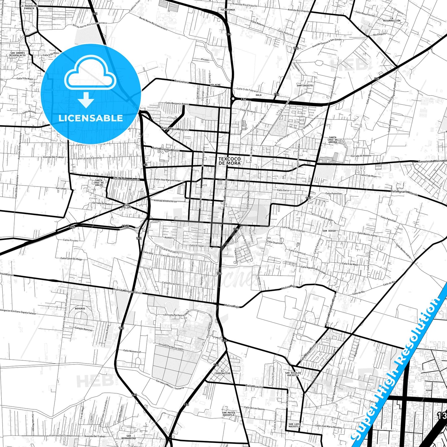 Texcoco, Mexico Light Map with Street Names, City Names, and Districts