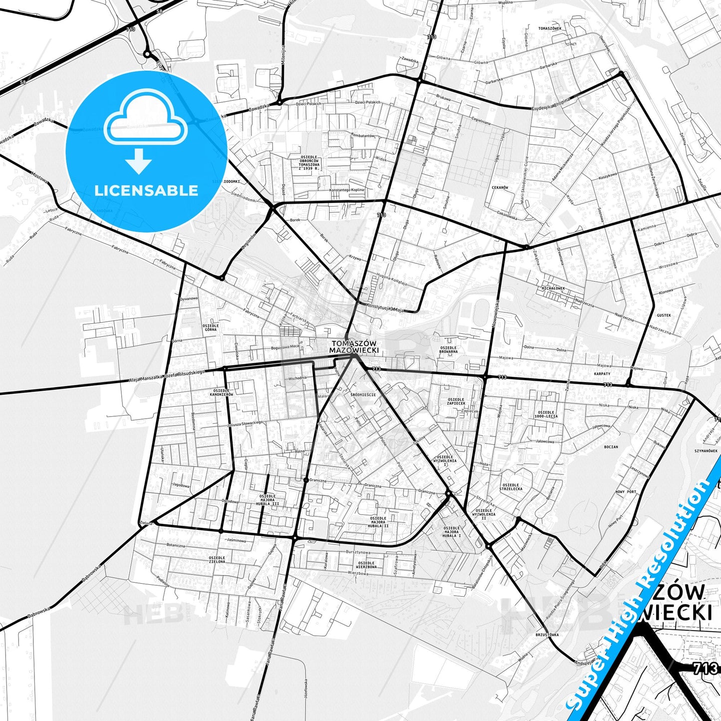 Tomaszów Mazowiecki, Poland Light Map with Street Names, City Names, and Districts