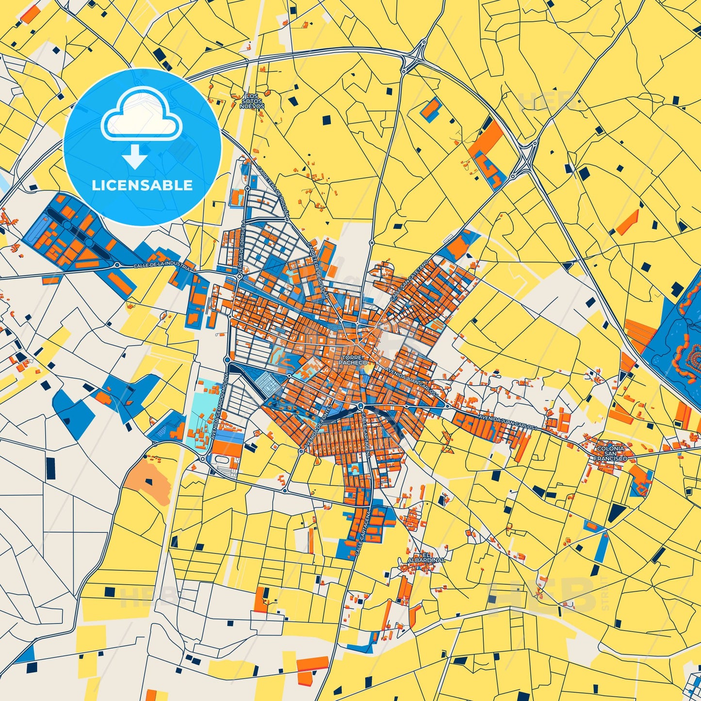 Colorful Torre-Pacheco Street Map with Labels and Buildings