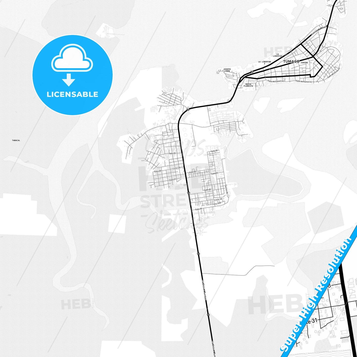Tumaco, Colombia Light Map with Street Names, City Names, and Districts
