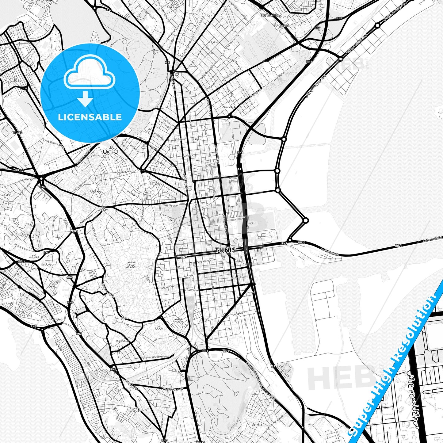 Tunis, Tunisia Light Map with Street Names, City Names, and Districts