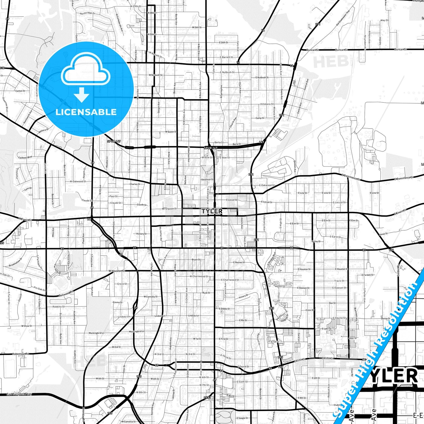 Tyler, Texas Light Map with Street Names, City Names, and Districts