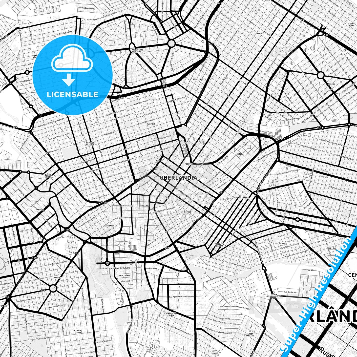 Uberlandia, Brazil Light Map with Street Names, City Names, and Districts