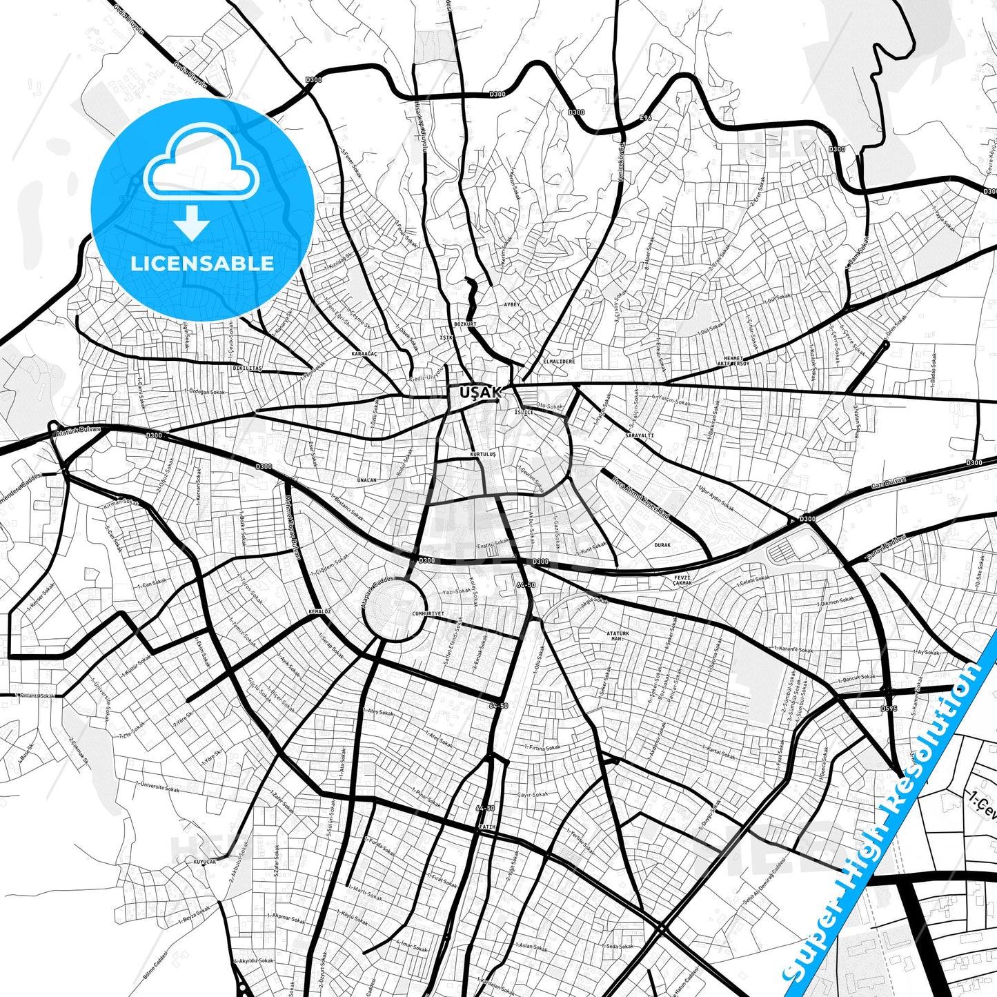 Uşak, Turkey Light Map with Street Names, City Names, and Districts