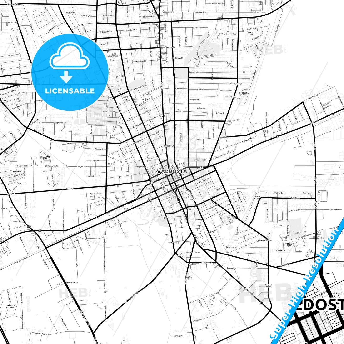 Valdosta, Georgia Light Map with Street Names, City Names, and Districts