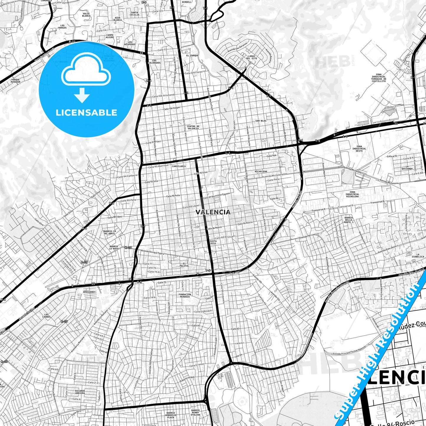Valencia, Venezuela Light Map with Street Names, City Names, and Districts