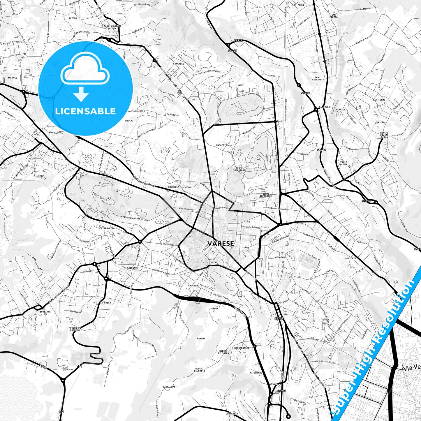 Varese, Italy Light Map with Street Names, City Names, and Districts