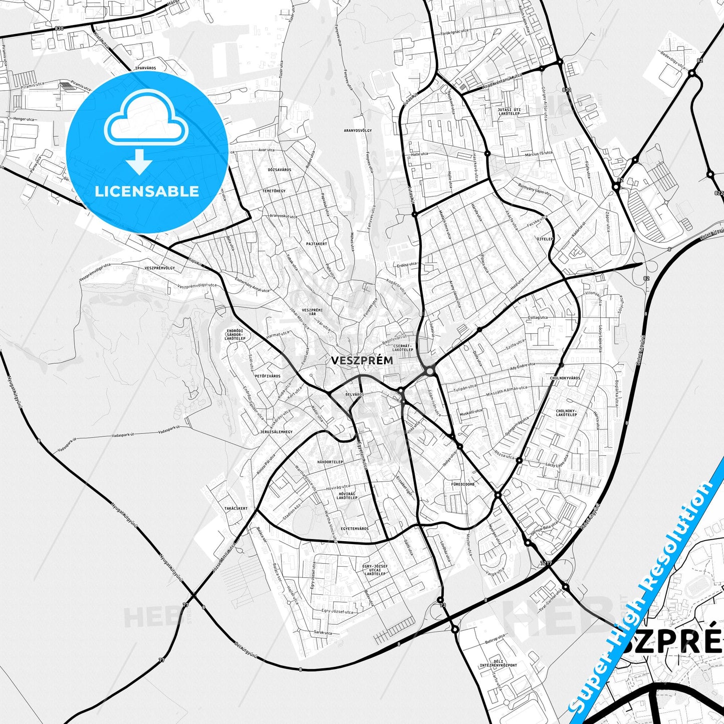 Veszprém, Hungary Light Map with Street Names, City Names, and Districts