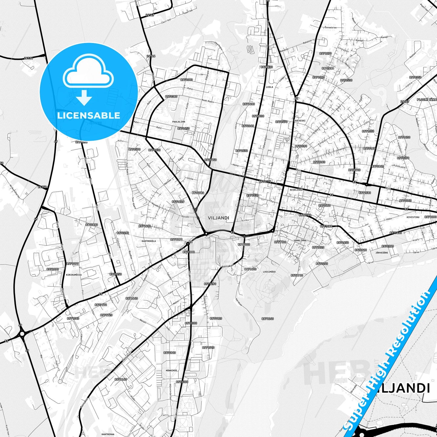 Viljandi, Estonia Light Map with Street Names, City Names, and Districts
