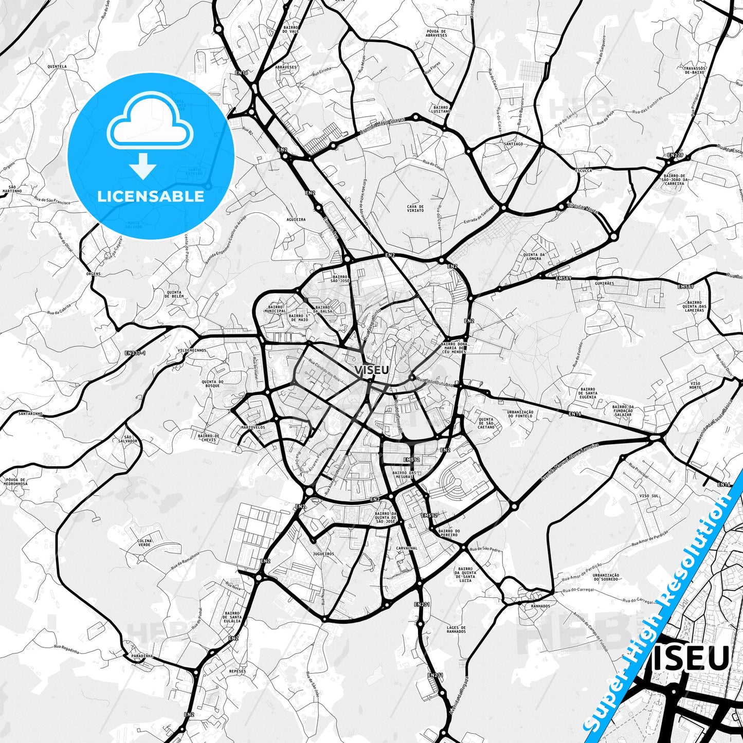 Viseu, Portugal Light Map with Street Names, City Names, and Districts