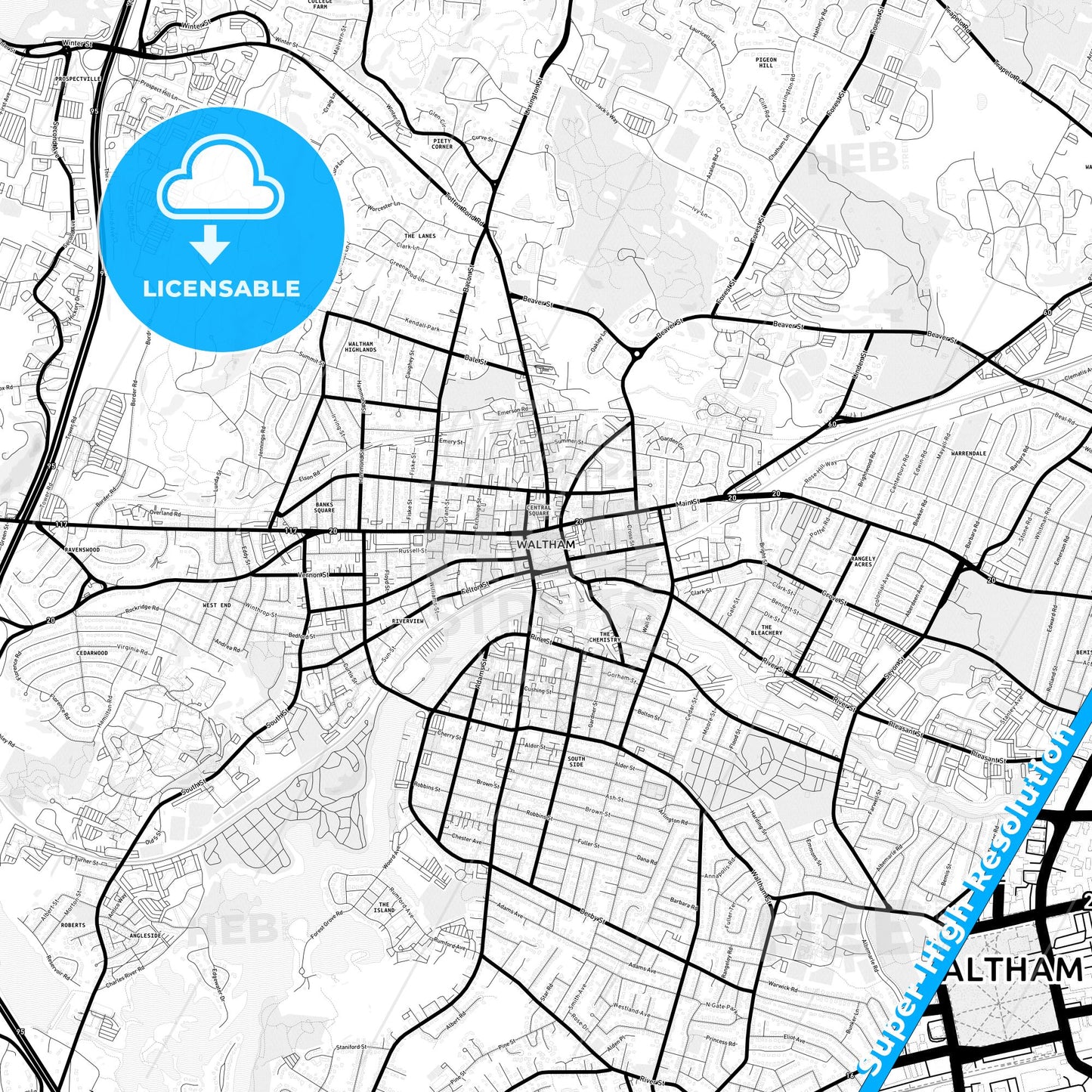 Waltham, Massachusetts Light Map with Street Names, City Names, and Districts