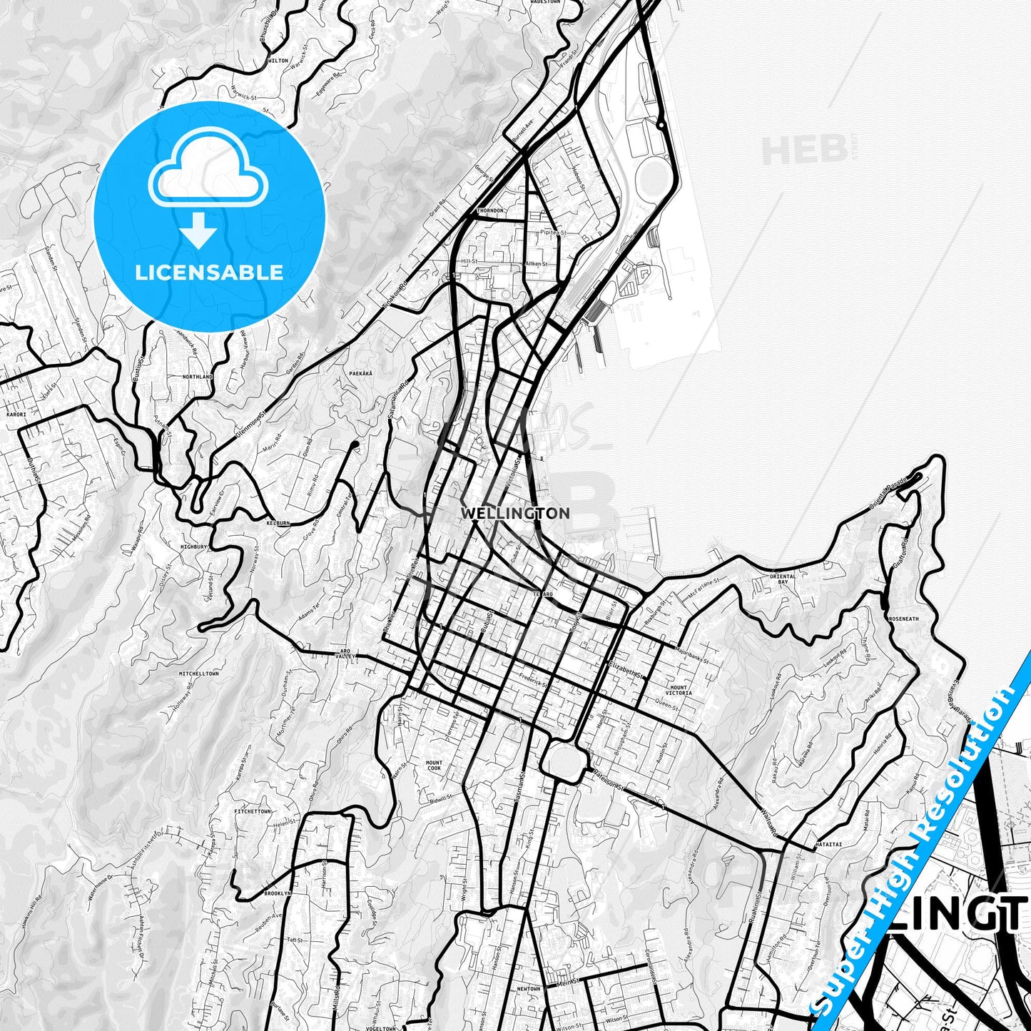 Wellington, New Zealand Light Map with Street Names, City Names, and Districts