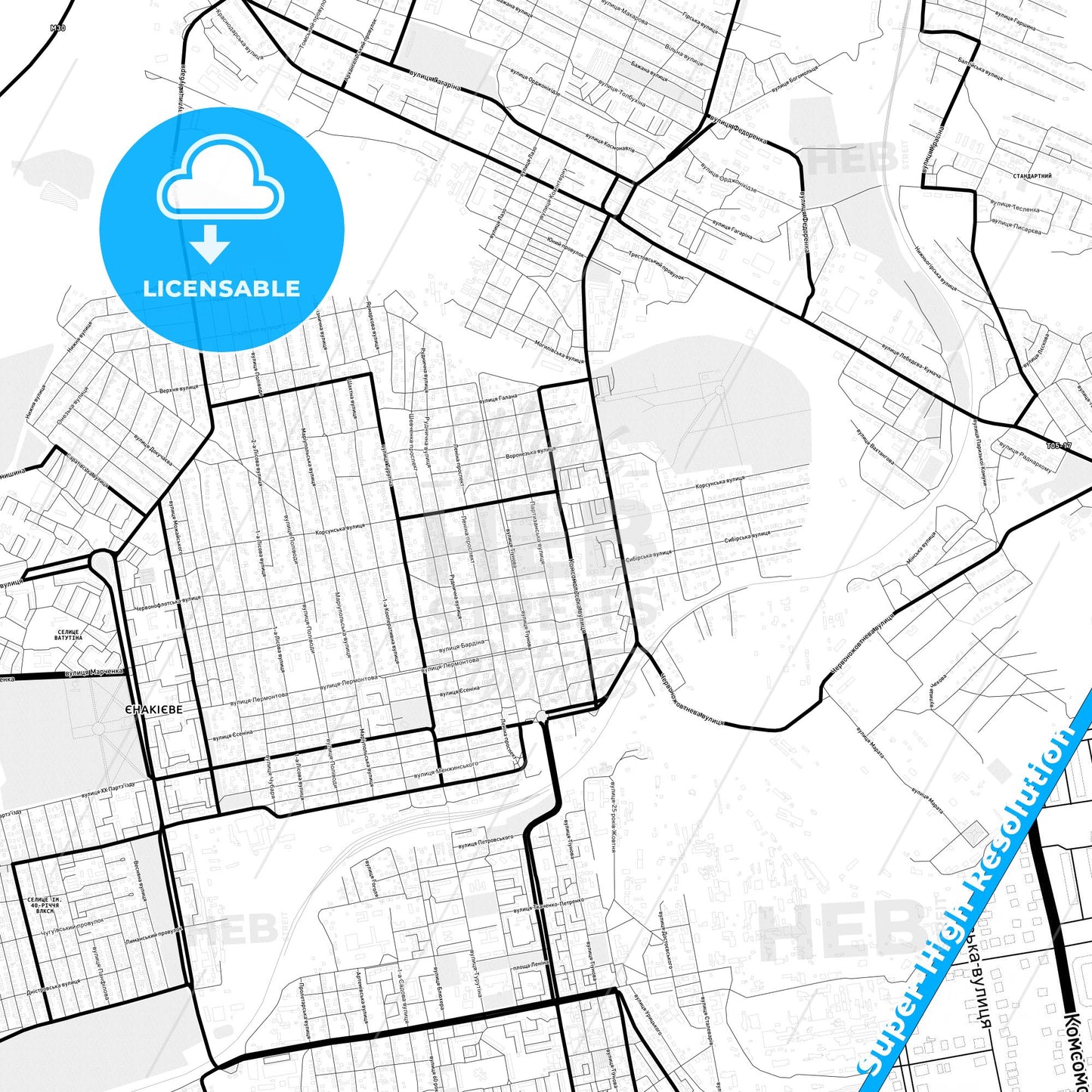 Yenakiieve, Ukraine Light Map with Street Names, City Names, and Districts