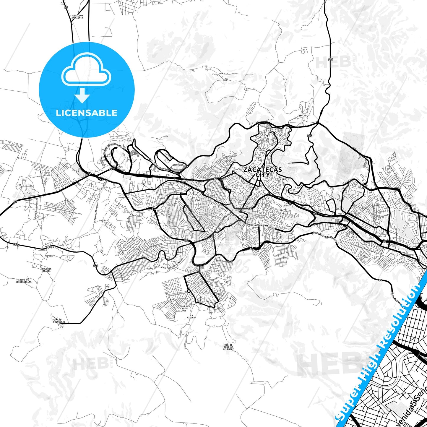 Zacatecas, Mexico Light Map with Street Names, City Names, and Districts